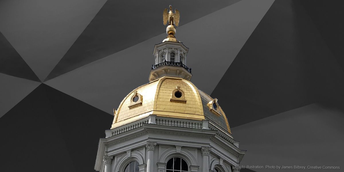 Who's in the NH House and NH Senate, 2020-2022?